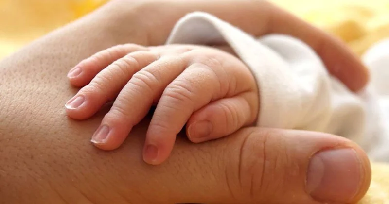 Son 5 ildə Azərbaycanda 83 min nikahdankənar uşaq doğulub Deputat