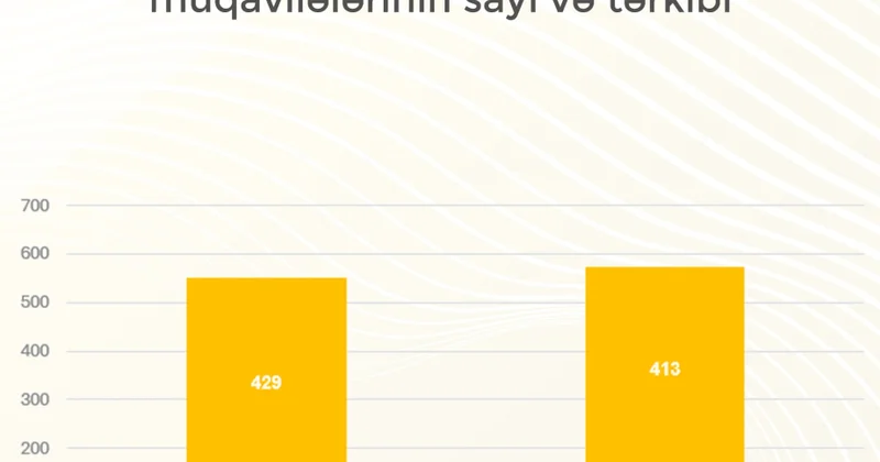 Naxçıvanda dövlət əmlakının özəlləşdirilməsi və icarəsi sahəsində görülən işlər açıqlanıb