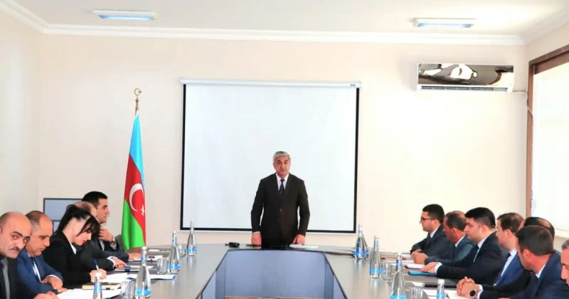 Naxçıvanda 19 min hektardan artıq sahədə taxıl əkilməsi planlaşdırılır