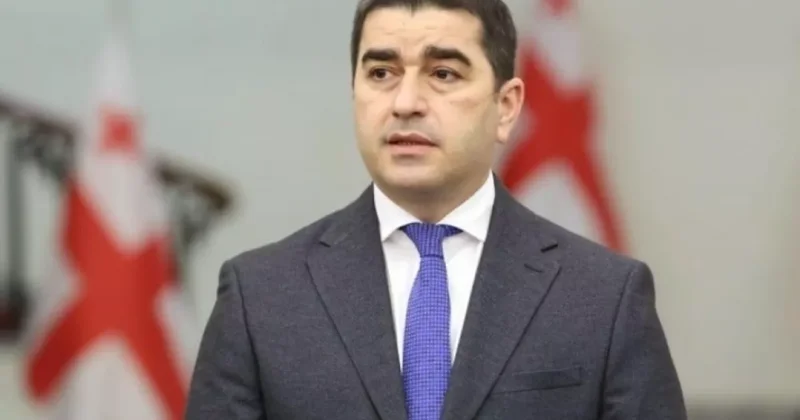 Папуашвили осудил молчание ЕС о штурме дворца президента Грузии: Это позор