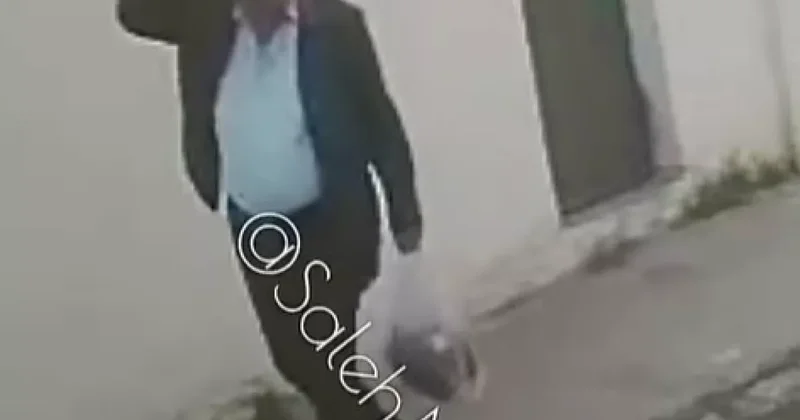 Не бейте спящую собаку : Зооманьяк в Баку ВИДЕОФАКТ