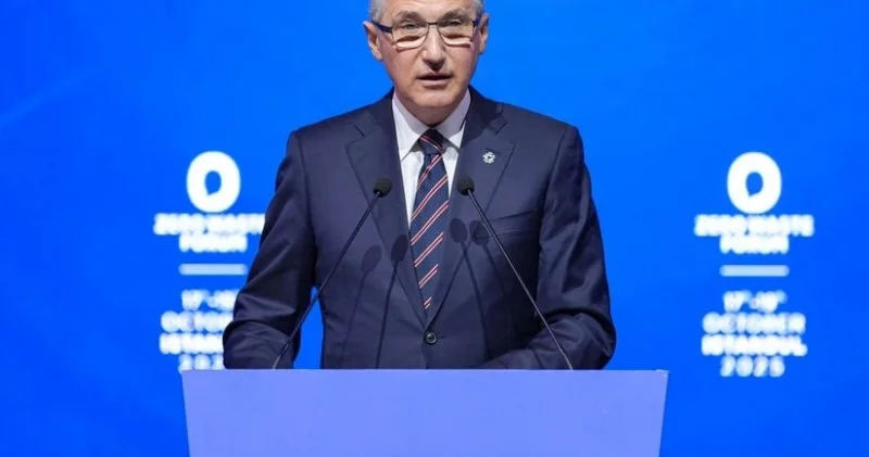 COP29 Prezidenti: Yaşıl dünya naminə həmrəylik nümayiş etdirilməlidir