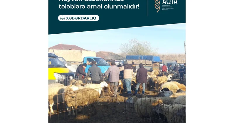 AQTA: Heyvan bazarlarında tələblərə əməl olunmalıdır