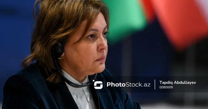 Умайра Тагиева: Азербайджан играет ключевую роль в реализации климатических инициатив D 8