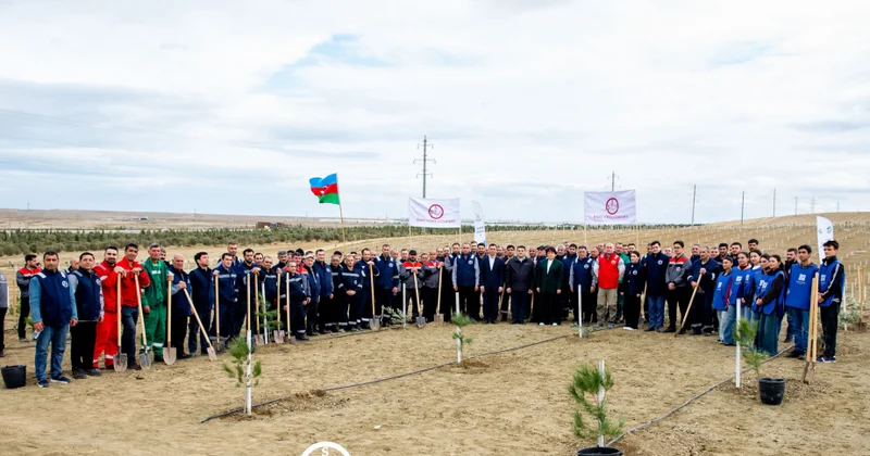 ® “Baku Steel Company” ətraf mühitin mühafizəsinə töhfəsini gücləndirir: təxminən 3000 ağac əkilib