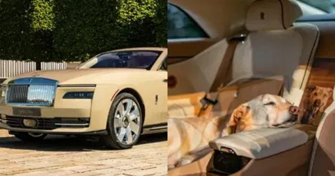 İt üçün xüsusi sifarişlə hazırlanmış Rolls Royce FOTO