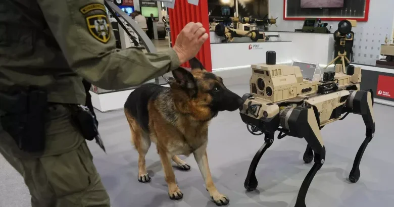 Robot köpəklər Çinin küçələrində patrulluq edirlər