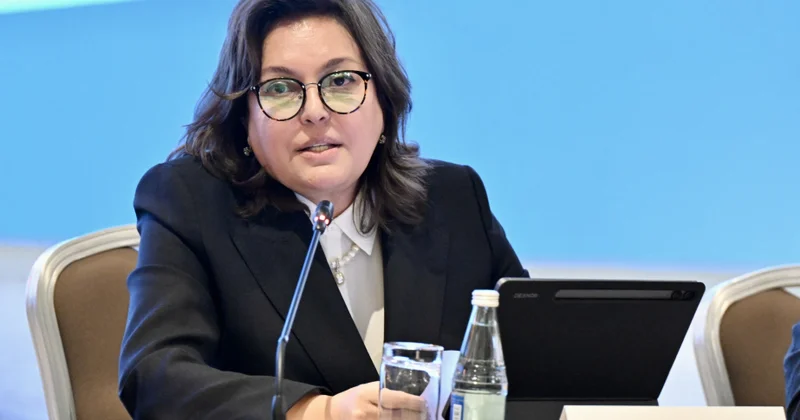 Nazir müavini: D 8 ölkələri birlikdə yaşıl və innovativ iqtisadi modellərin qurulmasında rol oynaya bilər