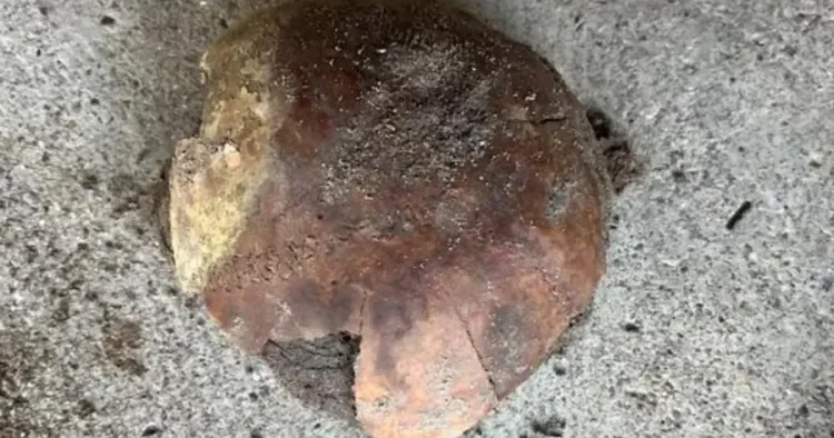 Çay sahilində 4200 illik insan kəlləsinin fraqmenti tapılıb