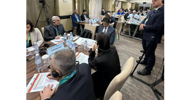 Azərbaycan nümayəndələri Almatıda regional seminarda iştirak ediblər