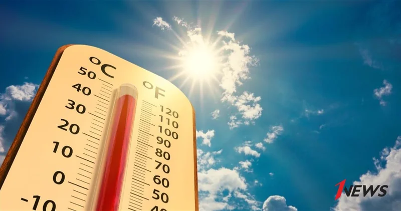 Умайра Тагиева: Смертность резко растет при температуре выше 36°C