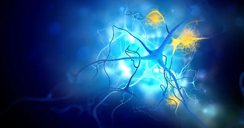 Alzheimer və Xərçəng müalicəsində yeni ümid