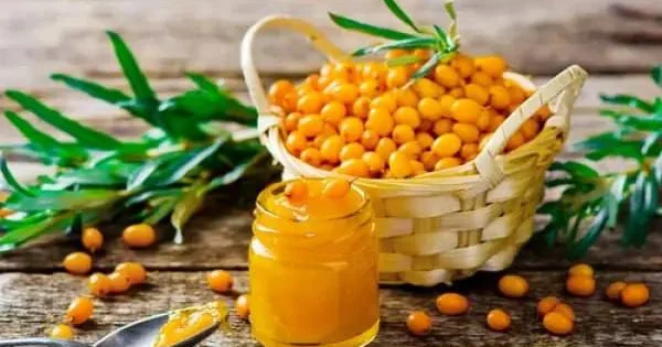 Soyuqdəymə, mədə xorası və qastrit üçün Çaytikanı
