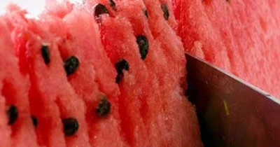 Qarpız təbii sidikqovucu və ödqovucudur