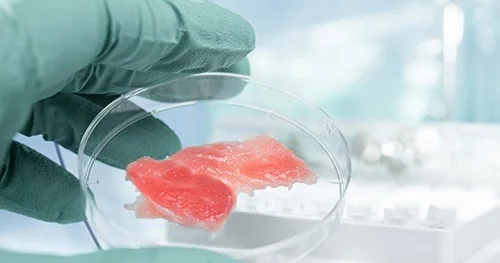 Əti laboratoriyalarda yetişdirəcəklər