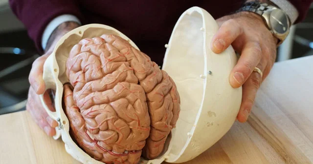 Bu yeməkləri çox yeyənlərin ağlı zəifləyir DİQQƏT!