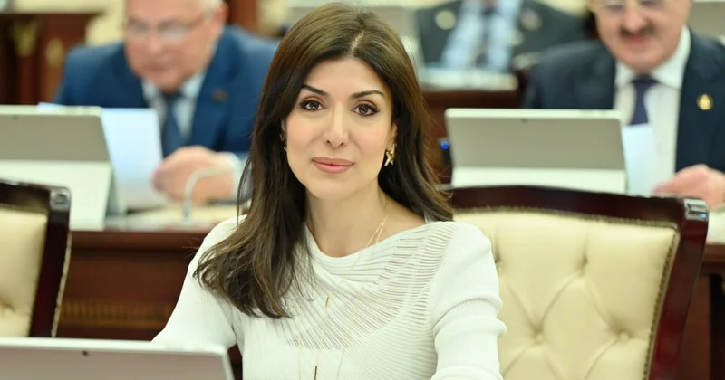 AQEM Azərbaycanın rəqəmsal bağlantı imkanlarının genişləndirilməsi baxımından mühüm platformadır ŞƏRH