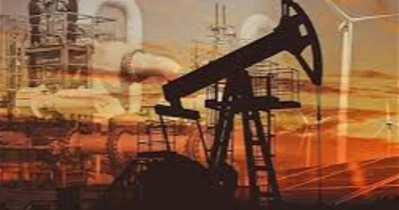 В Турции заявили о планах довести добычу нефти до 1 млн баррелей в сутки