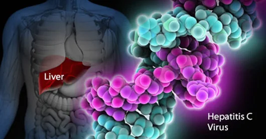 Hepatoloq: Hepatit C 3 aya tam müalicə olunur