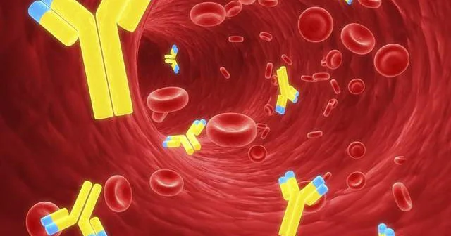 Hansı qan qrupu hansı xəstəliklərə tutulur. Hematoloqdan məsləhətlər
