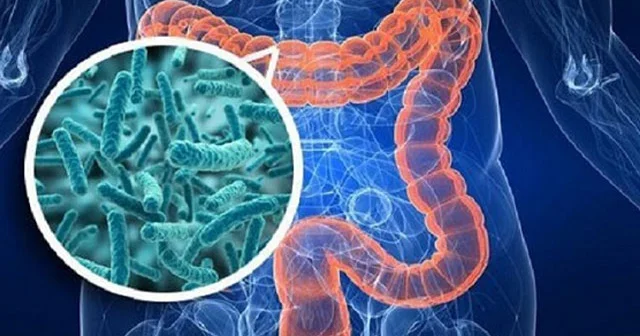 Bağırsaqları saat kimi işlədəcək 5 təbii probiotik