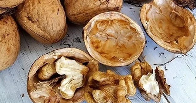 Yüksək xolesterola qarşı 5 qida