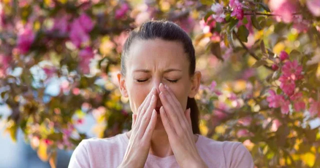 Allergiya xəstələri üçün hansı fəsil daha təhlükəlidir?