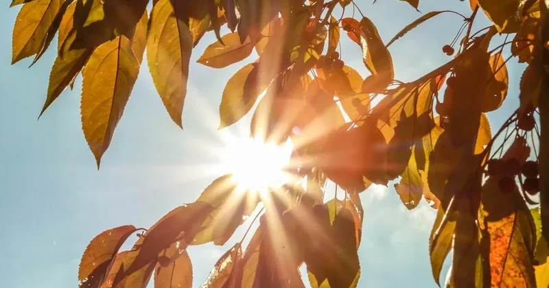 Лето в октябре: завтра в Баку 28°, в регионах до 31° тепла