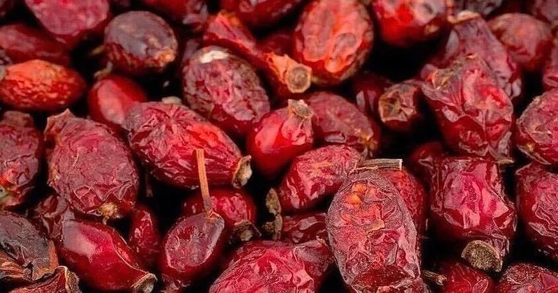 İtburnu ilə qaraciyərin təmizlənməsi Belə istifadə edin!