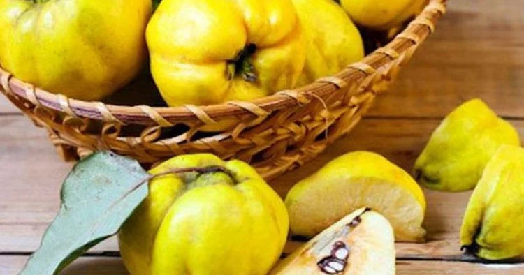 Quru öskürək, mədə bağırsaq iltihabı və ishalın Təbii DƏRMANI