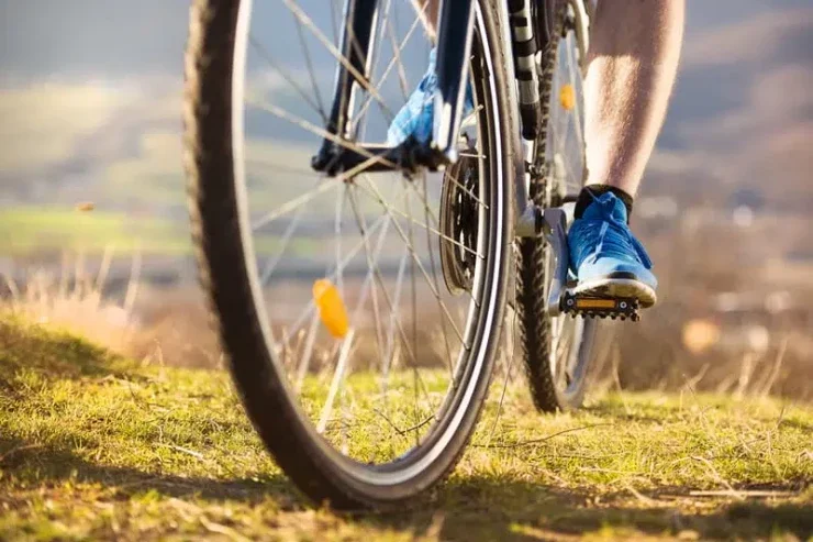 Kişi arvadı ilə barışmaq üçün 100 gün velosiped sürdü