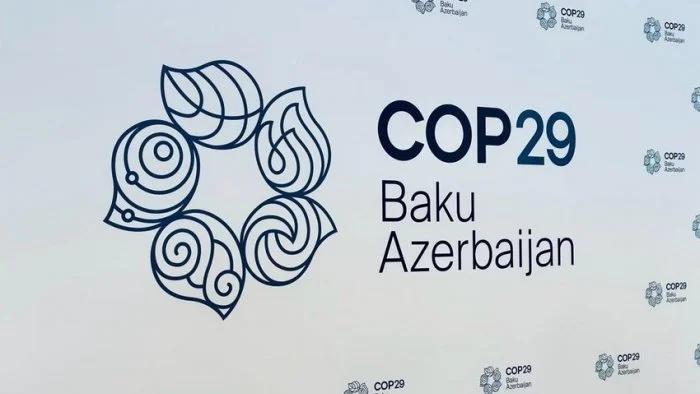 COP29da qadınların qarşılaşdığı özünəməxsus çətinliklər müzakirə olundu