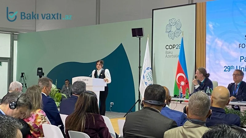 COP29: Parlament Görüşündə iqlim dəyişikliyinin sağlamlığa təsiri müzakirə edilib