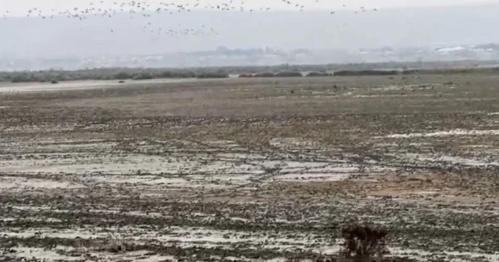 Озеро Гаджигабул высохло, но специалисты надеются на его возрождение