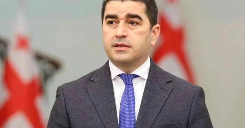 Спикер парламента Грузии обвинил Киев в недружелюбии