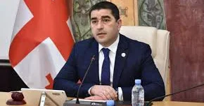 Грузия вводит запрет на голосование за рубежом из за риска давления