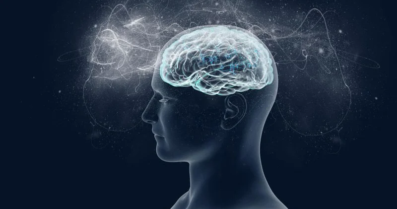 İnsan şüuru necə formalaşır? Alim açıqladı