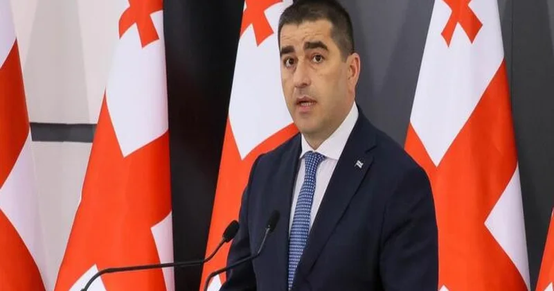 Gürcüstan vətəndaşları xaricdə parlament seçkilərində səs verə bilməyəcəklər