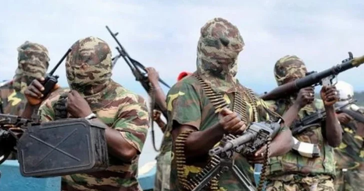 25 школьниц похищены во время жестокого налета на школу интернат в Нигерии