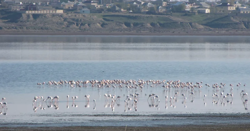 Hacıqabul gölünün yox olması problemlərə yol açacaq… KONKRET