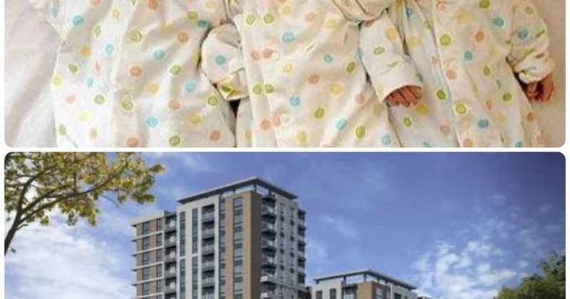 Prezidentin “Üçəm” ailəsinə bağışladığı evlə bağlı qalmaqal “Kristal AA” şirkəti əlavə pul alıb