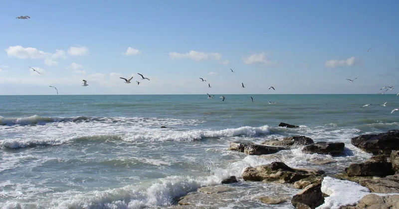 Представители Азербайджана примут участие в саммите по Каспию в Иране Minval Politika