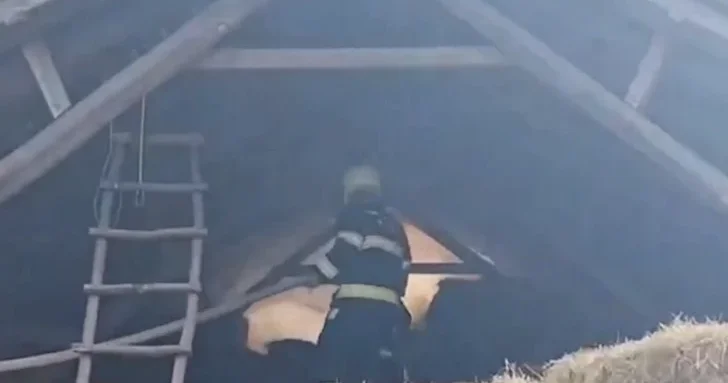 В Габале сгорели 10 тонн сена в результате пожара