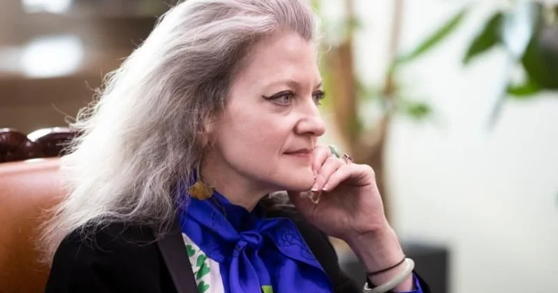 ABŞ rəsmisi İrəvandan sonra Bakıya gələcək