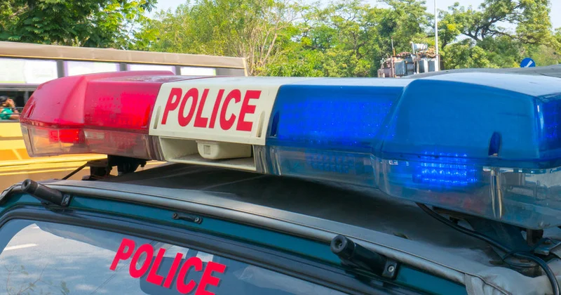 Yeni Dehlidə kamikadze avtomobili partlatmaqda şübhəli Kəşmirli həbs edilib