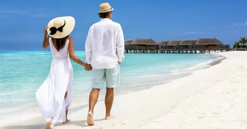 Bal ayı nı korlayan 1 nömrəli SƏHV