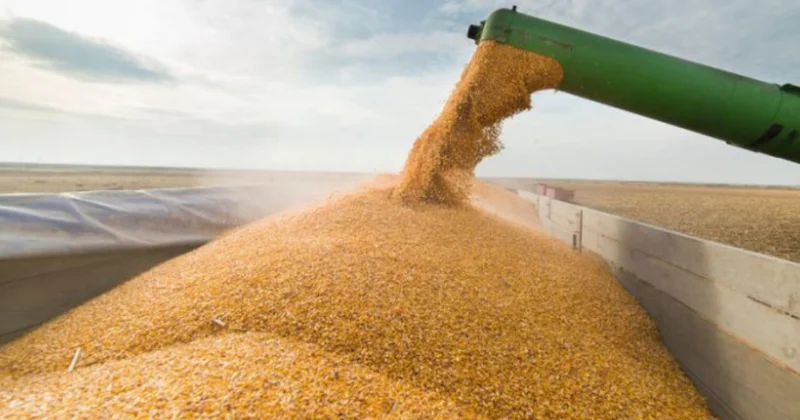 Azərbaycana buğda idxalı 1 milyon tonu keçdi