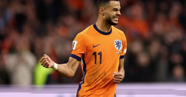 Niderland Litvanı darmadağın edərək dünya çempionatına vəsiqə qazanıb VİDEO