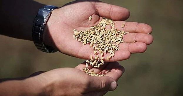 Yer kürəsində düyünün məhv olma təhlükəsi barədə xəbərdarlıq...