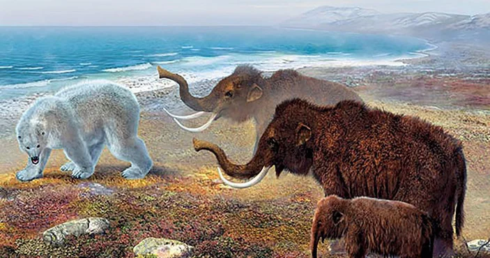 Прорыв в науке: исследователи приблизили воскрешение мамонта